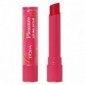 Pupa Pleasure Lip Oil Stylo N. 004 Watermelon Smoothie