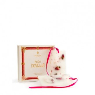 Santa Maria Novella Rosa...