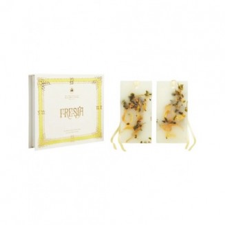 Santa Maria Novella Fresia...