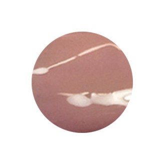 Layla Smalto One Step Gel - 50