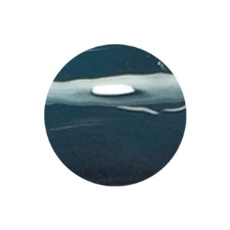 Layla Smalto One Step Gel - 60