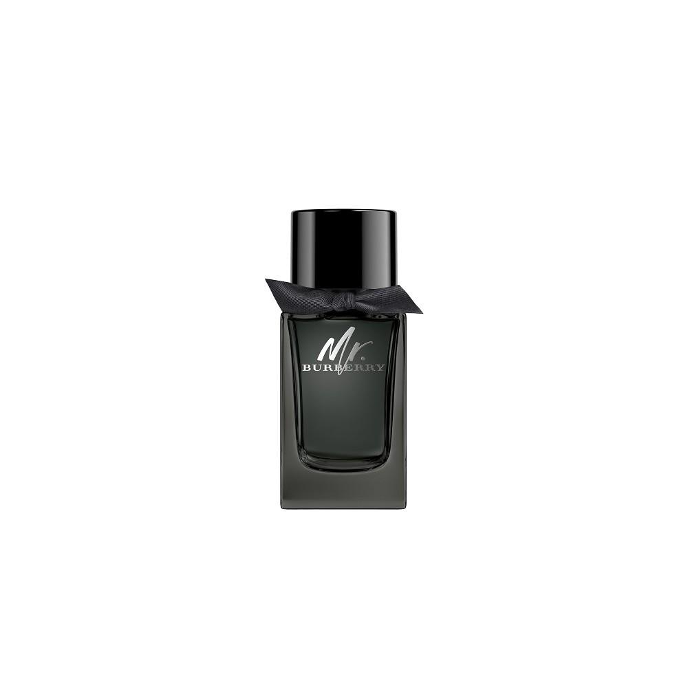 Burberry Mr. Burberry Eau de Parfum 100ML 