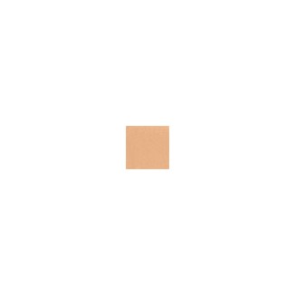 Elizabeth Arden Flawless Finish Perfectly Satin 24HR Makeup SPF 15 - Sunbeige