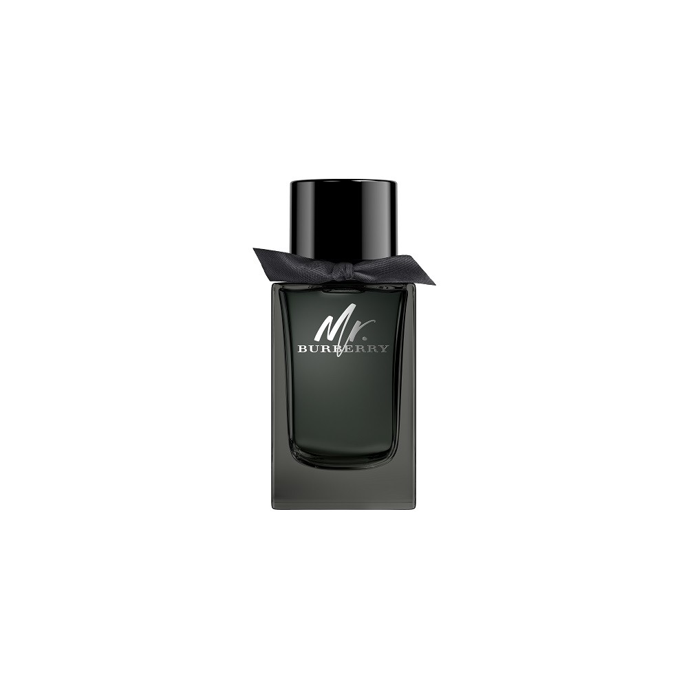 Burberry Mr. Burberry Eau de Parfum 150ML 