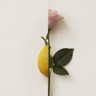 Burberry My Burberry Blush Eau De Parfum 50ML