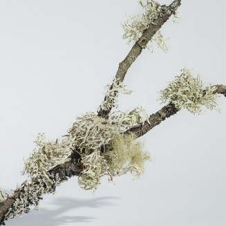 Burberry Mr. Burberry Indigo Eau De Toilette 100ML