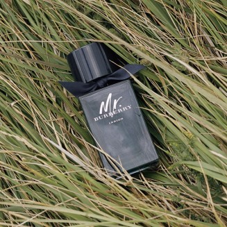 Burberry Mr. Burberry Indigo Eau De Toilette 50ML
