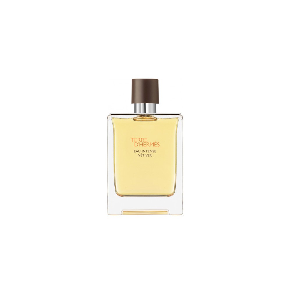 Hermès Terre d'Hermès Eau Intense Vetiver Eau De Parfum 100ML 