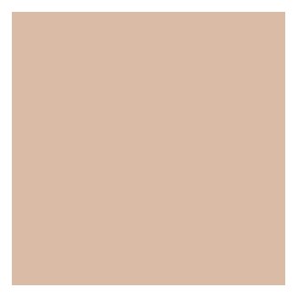 Pupa Beauty Touch Fondotinta Stick - 010 Light Beige