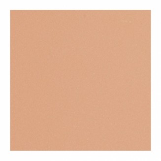 Shiseido Suncare Sports BB Compact SPF 50+ - Medium