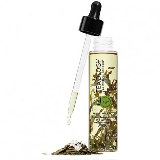 Teaology Bancha Oil 100ML