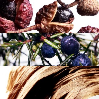 Davidoff Cool Water Wave Eau De Toilette 200ML