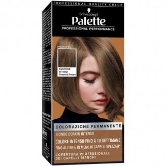 Schwarzkopf Palette...