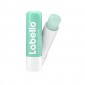 Labello Scrub Labbra Idratante Aloe Vera