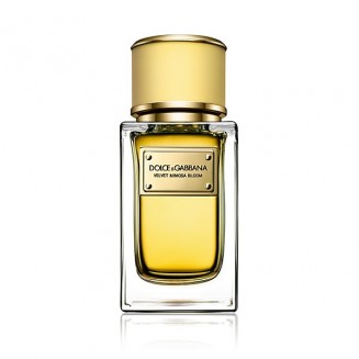 Dolce & Gabbana Velvet...