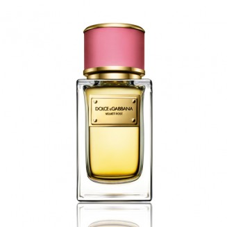 Dolce & Gabbana Velvet Rose...