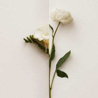 Burberry My Burberry Eau de...