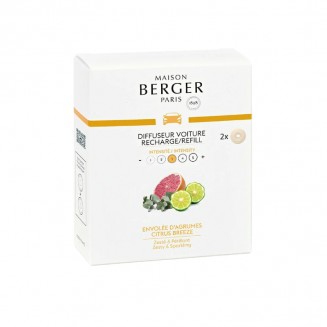 Maison Berger Paris Envolée...