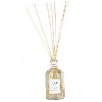 Bois 1920 Ginger Profumo...