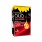 Garnier Olia Tintura Per Capelli N. 6.60 Rosso Intenso