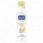 Neutro Roberts Fresco Bergamotto E Zenzero Deodorante Spray 150 Ml