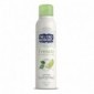 Neutro Roberts Fresco Tè Verde E Lime Deodorante Spray 150 Ml