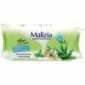 Malizia Salviette Multiuso Detergenti E Rinfrescanti Con Aloe E Tè Verde72 Pezzi
