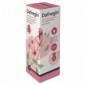 S&R Farmaceutici Dafnegin Detergente Intimo 250 Ml