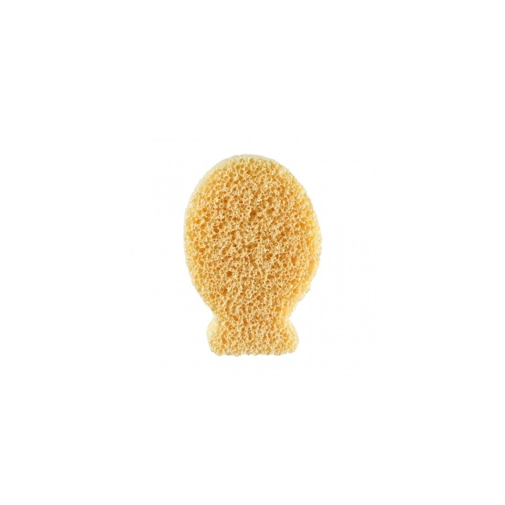 Chicco Spugna Con Ioni D' Argento 