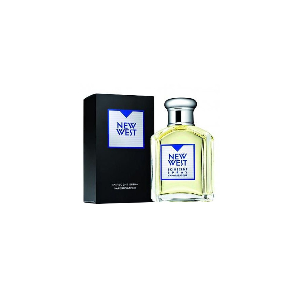 Aramis New West Eau De Toilette 100ML 