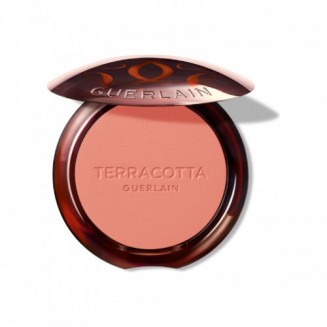 Guerlain Terracotta Blush...
