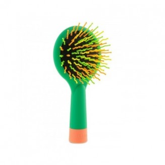 Chicco Spazzola Districante...