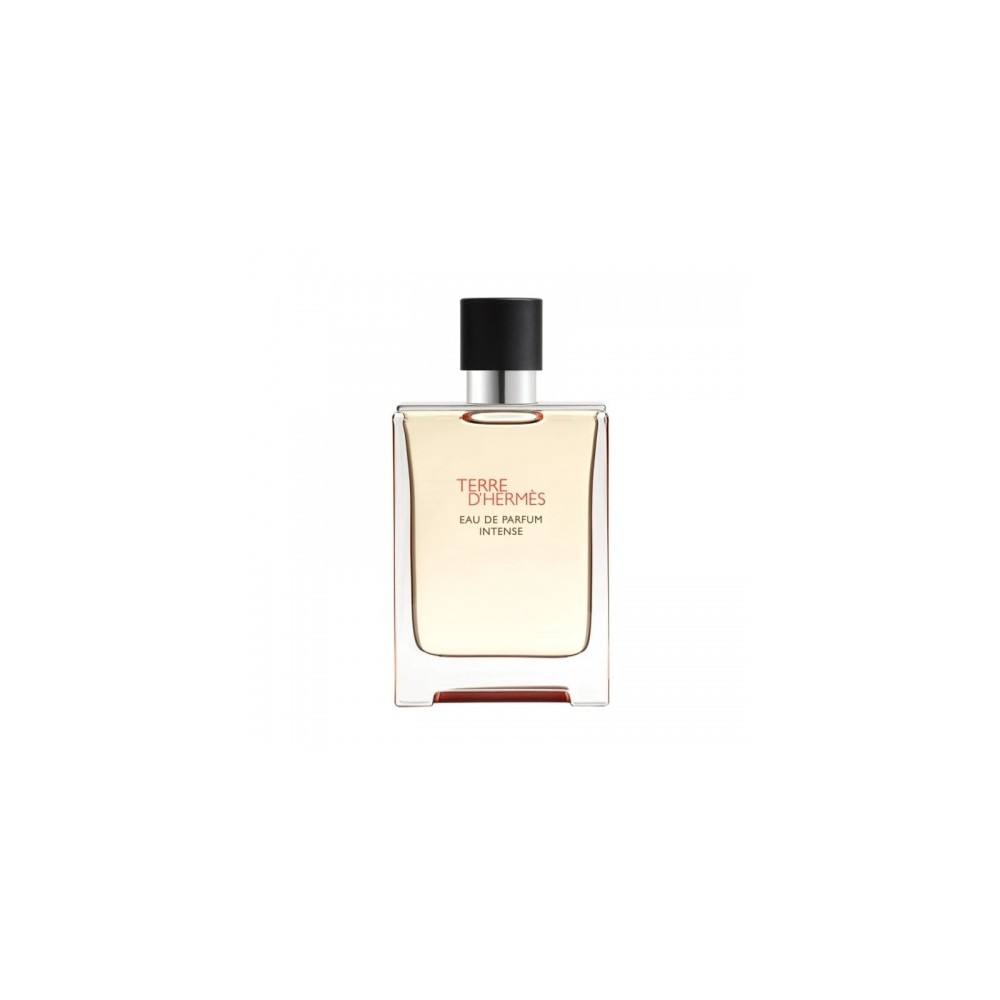 Hermes Terre D'Hermès Eau De Parfum Intense Uomo 100 Ml Vapo Ricaricabile 