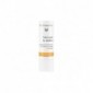 Dr.hauschka Stick Per Le Labbra 4,9 G