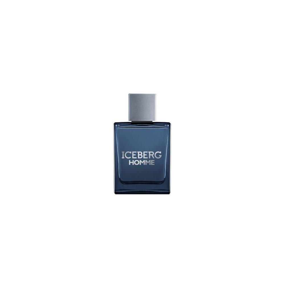 Iceberg Homme Eau De Toilette Uomo 100 Ml Vapo 