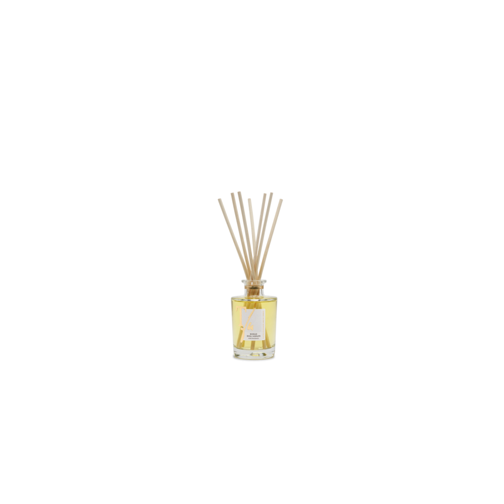 Teatro Fragranze Uniche Borgo Degli Agrumi Diffusore Con Bastoncini 100 Ml 