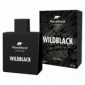 Rockford Wildblack - After Shave 100 Ml