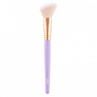 Nejha Oblique Foundation...